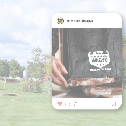 Follow Along On Socials